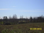 COUNTY ROAD 1711 Baileyton, AL 35019 - Image 919267