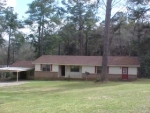 1255 HOLLAND ROAD Newton, AL 36352 - Image 922157