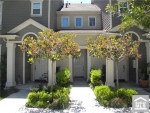 9 Herrick St Ladera Ranch, CA 92694 - Image 934315