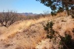 1 Casa Blanca Ranch Road Patagonia, AZ 85624 - Image 967533