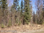 7831 W Tolson Avenue Wasilla, AK 99654 - Image 975365