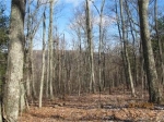 Lot 18 Delafield Rd Hot Springs, VA 24445 - Image 979241