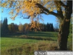 89712 Wagon Wheel Rd Sturgeon Lake, MN 55783 - Image 987537