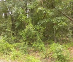 0 County Rd 40 Bay Minette, AL 36507 - Image 996761