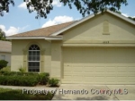 16509 Sandhill Crane Dr Spring Hill, FL 34610 - Image 1023466