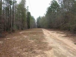 702 Private Road 1325 Skipperville, AL 36374 - Image 1027146