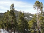 30328 National Forest Buena Vista, CO 81211 - Image 1043683