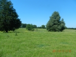 CR 2168 Coal Hill, AR 72832 - Image 1048378