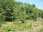 3 Acres N. Main St Coal Hill, AR 72832 - Image 1048381