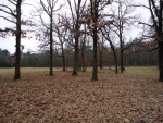 11375 Edgemont Rd Edgemont, AR 72044 - Image 1049446