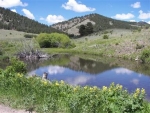 9187 9 Hwy Guffey, CO 80820 - Image 1050592