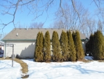 23601 Liddle St Trenton, MI 48183 - Image 1058879