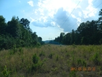 20 acres Off Hwy 164 Hagarville, AR 72839 - Image 1059003