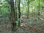 40 acres off Hwy 164 Hagarville, AR 72839 - Image 1059005