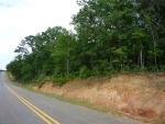 Lot 30 Oak Hills Newton, AL 36352 - Image 1060123