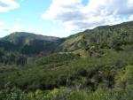 1460 State Highway 16 Rumsey, CA 95679 - Image 1061832