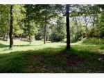 55.55 ac Vardy Blackwater Sneedville, TN 37869 - Image 1062209