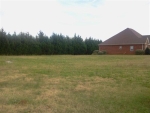 3001 McGuire Dr. E Muscle Shoals, AL 35661 - Image 1062249