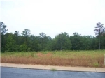 Well Creek Ln Lot 27 Ralph, AL 35480 - Image 1062970