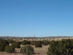 Unit 9 Lot 034 Concho, AZ 85924 - Image 1063223