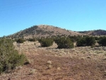 Unit 9 Lot 160 Concho, AZ 85924 - Image 1063222