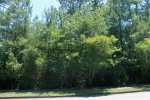 30491 MiddleCreek Circle Spanish Fort, AL 36527 - Image 1064270