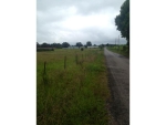 0 CO RD 641 Hanceville, AL 35077 - Image 1066370