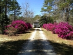 30885 Blakeley Way Spanish Fort, AL 36527 - Image 1067832