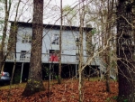 2210 Turkey Roost Rd Walland, TN 37886 - Image 1068129