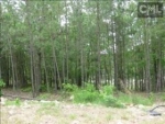 LOT 13 PRIMROSE Blythewood, SC 29016 - Image 1068908