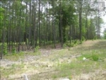 LOT 48 BLANDING RIDGE Blythewood, SC 29016 - Image 1068911