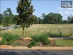 LOT 79 CORIANDER RD Blythewood, SC 29016 - Image 1068907