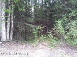 12119 W Hidden Drive Big Lake, AK 99652 - Image 1070549