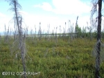 1161 S Rogers Court Big Lake, AK 99652 - Image 1070553