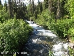 L5 West River Drive Eagle River, AK 99577 - Image 1071180