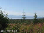 55049 Bonnie Avenue Homer, AK 99603 - Image 1071853