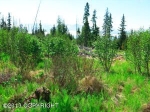 53991 Tremain Avenue Homer, AK 99603 - Image 1071848