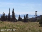 L14 Elata Avenue Homer, AK 99603 - Image 1096394