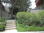 4341 Redwood Ave #7 Marina Del Rey, CA 90292 - Image 1109518