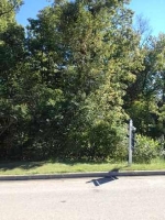 Lot 118, Clear Creek, Phase 2 Johnson, AR 72741 - Image 1122480