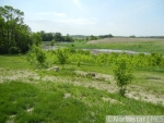 27055 Cr 4 Dassel, MN 55325 - Image 1125269