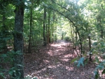 49 Acres Strawberry River Rd Smithville, AR 72466 - Image 1125846