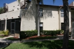 2571 Cyprus Drive Dr #103 Palm Harbor, FL 34684 - Image 1125901