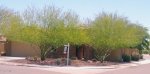 6899 W ASHBY DR Peoria, AZ 85383 - Image 1127619