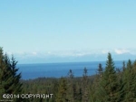 67700 Agusta Lane Homer, AK 99603 - Image 1131740