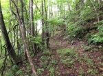 Lot 224 Ph4 Balsam Mountain Preserv Sylva, NC 28779 - Image 1132082