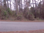 0 Hill Top RD Weaver, AL 36277 - Image 1132002