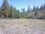 Choctaw Lane Lot 4 Blanchard, ID 83804 - Image 1133929