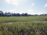 HWY 17 92 N Davenport, FL 33837 - Image 1134904