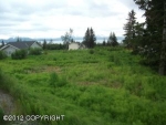 789 Daybreeze Court Homer, AK 99603 - Image 1136574